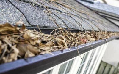 Tips for Spring Roofing Maintenance